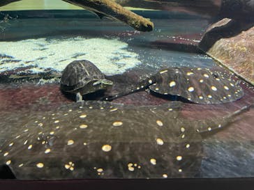 AQUARIUM × ART　atoaに投稿された画像（2024/1/22）