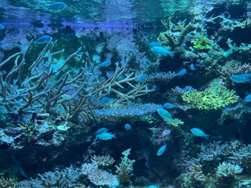 AQUARIUM × ART　atoaに投稿された画像（2024/1/22）
