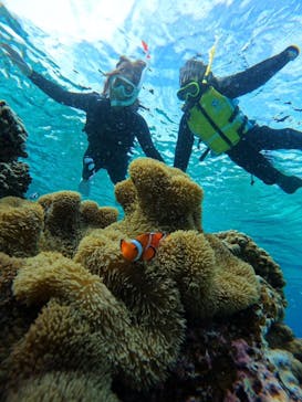 宮古島 ADVENTURE PiPi（ミヤコジマ アドベンチャー ピピ）に投稿された画像（2024/1/22）