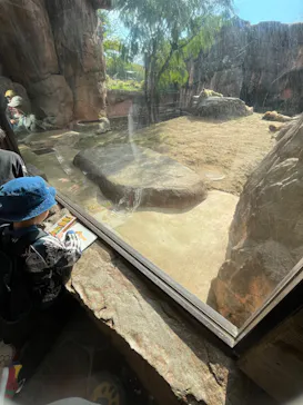 天王寺動物園に投稿された画像（2024/1/23）