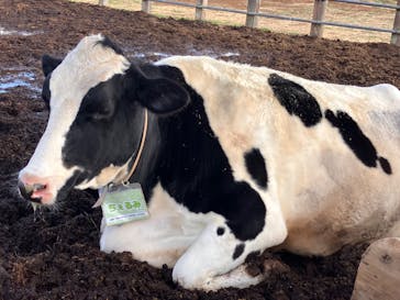 成田ゆめ牧場に投稿された画像（2024/1/23）