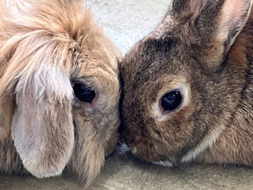 成田ゆめ牧場に投稿された画像（2024/1/23）