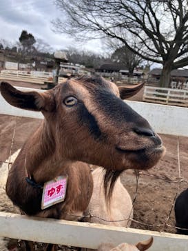 成田ゆめ牧場に投稿された画像（2024/1/23）