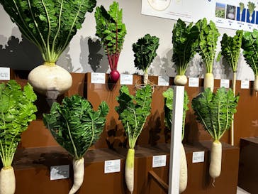 特別展「和食 ～日本の自然、人々の知恵～」に投稿された画像（2024/1/23）