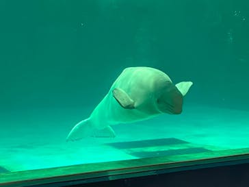 鴨川シーワールドに投稿された画像（2024/1/23）