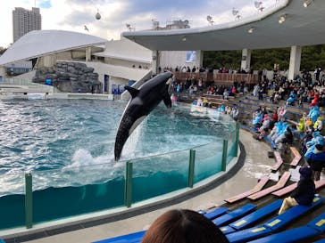 鴨川シーワールドに投稿された画像（2024/1/23）