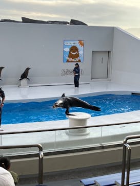 鴨川シーワールドに投稿された画像（2024/1/23）