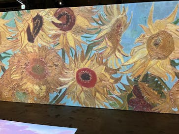 ゴッホ・アライブに投稿された画像（2024/1/23）