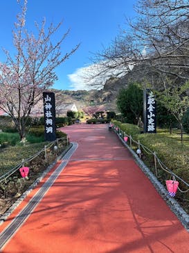 土肥金山に投稿された画像（2024/1/23）