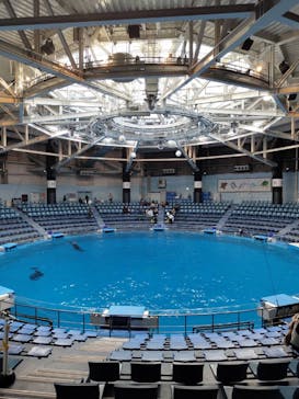 マクセル アクアパーク品川に投稿された画像（2024/1/23）