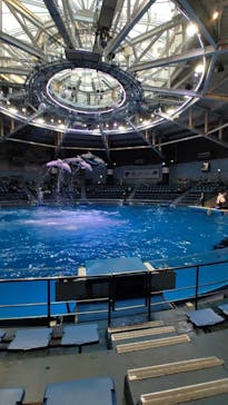 マクセル アクアパーク品川に投稿された画像（2024/1/23）