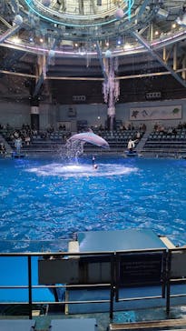 マクセル アクアパーク品川に投稿された画像（2024/1/23）