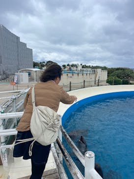 沖縄美ら海水族館（館内体験）に投稿された画像（2024/1/23）