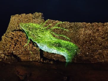 今帰仁城跡に投稿された画像（2024/1/23）