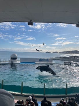 鴨川シーワールドに投稿された画像（2024/1/23）