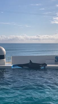 鴨川シーワールドに投稿された画像（2024/1/23）