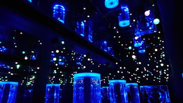 マクセル アクアパーク品川に投稿された画像（2024/1/23）