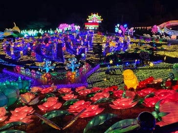 伊豆ぐらんぱる公園に投稿された画像（2024/1/23）