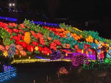 伊豆ぐらんぱる公園に投稿された画像（2024/1/23）