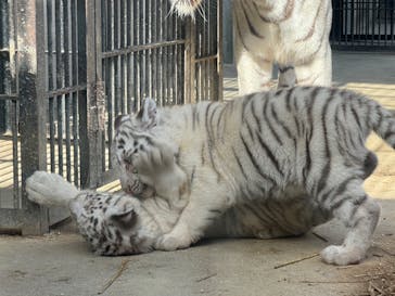 宇都宮動物園に投稿された画像（2024/1/23）