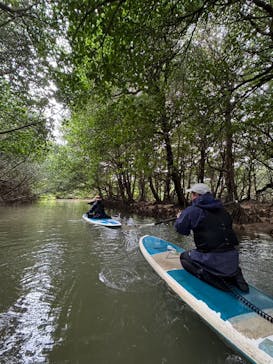 石垣島 ADVENTURE PiPi（イシガキジマアドベンチャーピピ）に投稿された画像（2024/1/23）