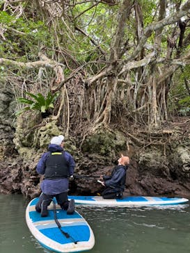 石垣島 ADVENTURE PiPi（イシガキジマアドベンチャーピピ）に投稿された画像（2024/1/23）