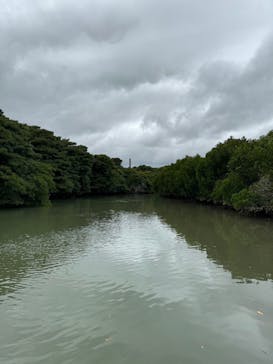 石垣島 ADVENTURE PiPi（イシガキジマアドベンチャーピピ）に投稿された画像（2024/1/23）