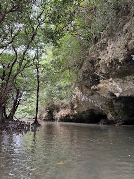 石垣島 ADVENTURE PiPi（イシガキジマアドベンチャーピピ）に投稿された画像（2024/1/23）