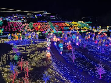 伊豆ぐらんぱる公園に投稿された画像（2024/1/23）