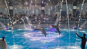 マクセル アクアパーク品川に投稿された画像（2024/1/23）