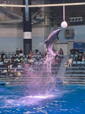 マクセル アクアパーク品川に投稿された画像（2024/1/23）