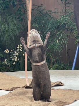 マクセル アクアパーク品川に投稿された画像（2024/1/23）