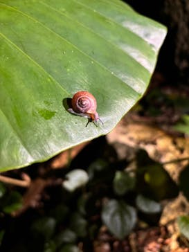 宮古島 ADVENTURE PiPi（ミヤコジマ アドベンチャー ピピ）に投稿された画像（2024/1/23）