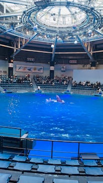 マクセル アクアパーク品川に投稿された画像（2024/1/23）