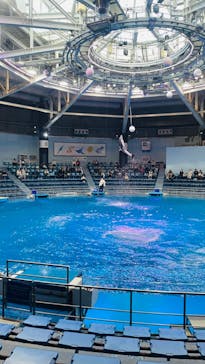 マクセル アクアパーク品川に投稿された画像（2024/1/23）