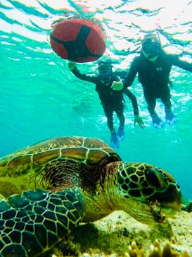 宮古島 ADVENTURE PiPi（ミヤコジマ アドベンチャー ピピ）に投稿された画像（2024/1/23）