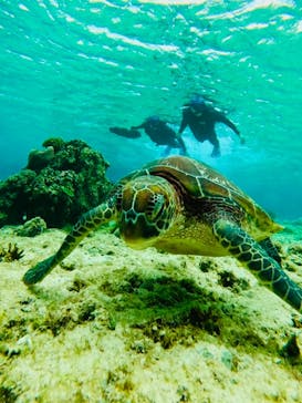 宮古島 ADVENTURE PiPi（ミヤコジマ アドベンチャー ピピ）に投稿された画像（2024/1/23）