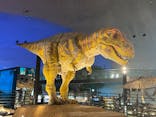 福井県立恐竜博物館に投稿された画像（2024/1/24）