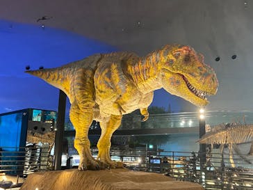 福井県立恐竜博物館に投稿された画像（2024/1/23）
