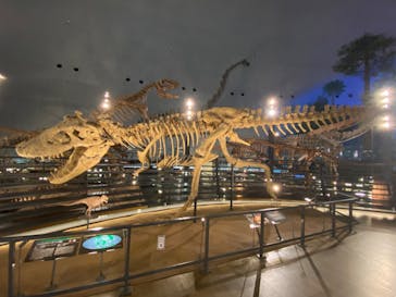 福井県立恐竜博物館に投稿された画像（2024/1/23）