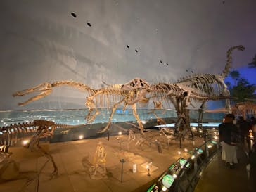 福井県立恐竜博物館に投稿された画像（2024/1/23）