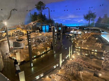 福井県立恐竜博物館に投稿された画像（2024/1/23）