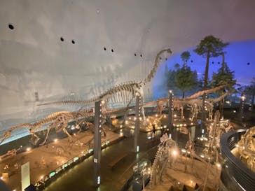 福井県立恐竜博物館に投稿された画像（2024/1/23）