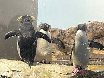 マクセル アクアパーク品川に投稿された画像（2024/1/24）