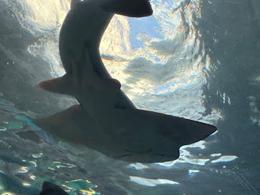 マクセル アクアパーク品川に投稿された画像（2024/1/24）