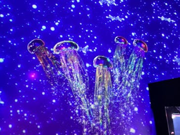 マクセル アクアパーク品川に投稿された画像（2024/1/24）