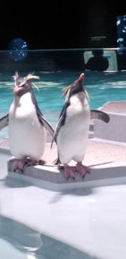 AOAO SAPPOROに投稿された画像（2024/1/24）