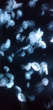 AOAO SAPPOROに投稿された画像（2024/1/24）