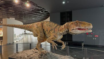 福井県立恐竜博物館に投稿された画像（2024/1/24）