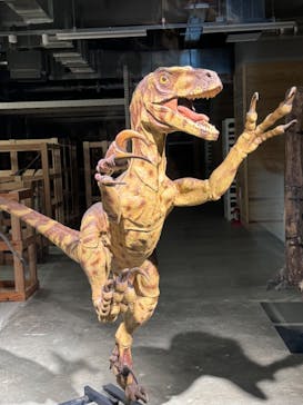 福井県立恐竜博物館に投稿された画像（2024/1/24）